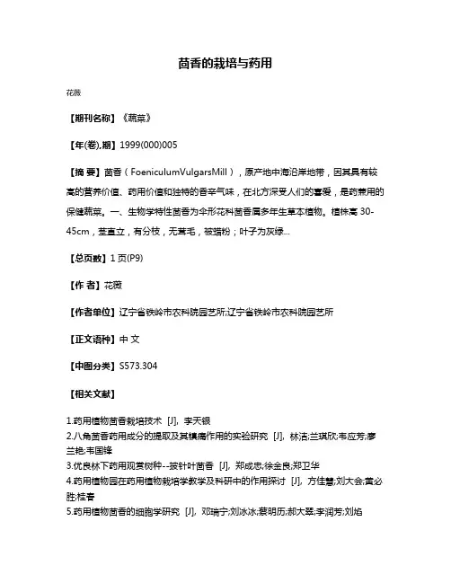 茴香的栽培与药用