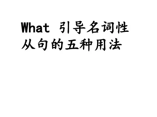 what引导名词性从句总结