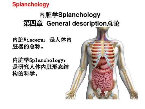 2.9系统解剖学9内脏学总论消化系统1