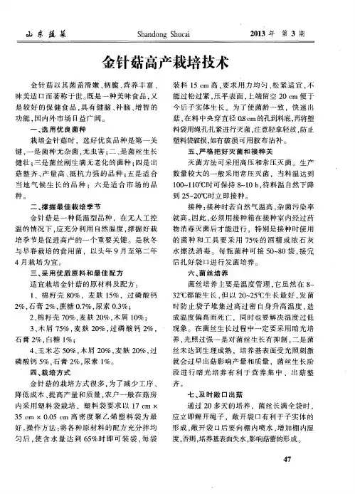 金针菇高产栽培技术