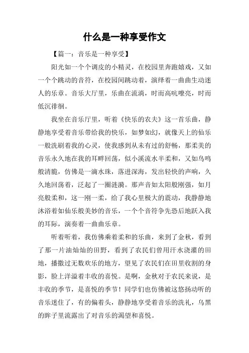什么是一种享受作文