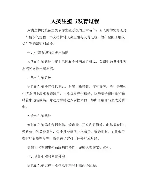 人类生殖与发育过程