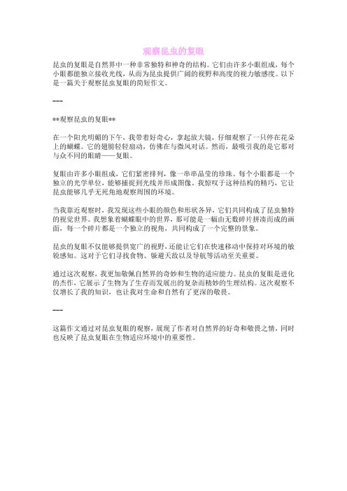 观察昆虫的复眼