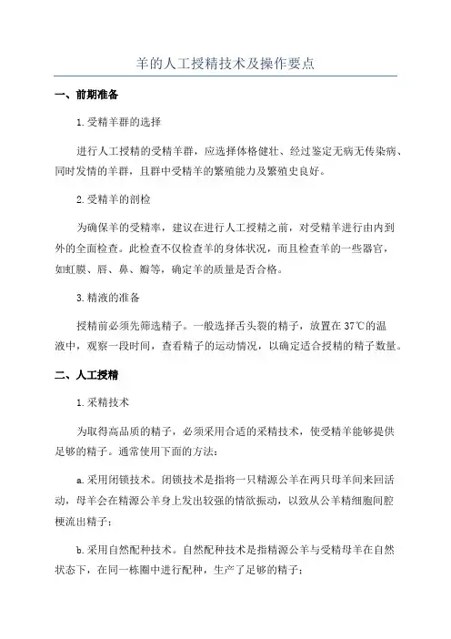 羊的人工授精技术及操作要点