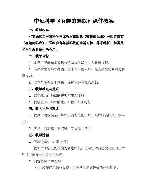 中班科学《有趣的蚂蚁》课件教案