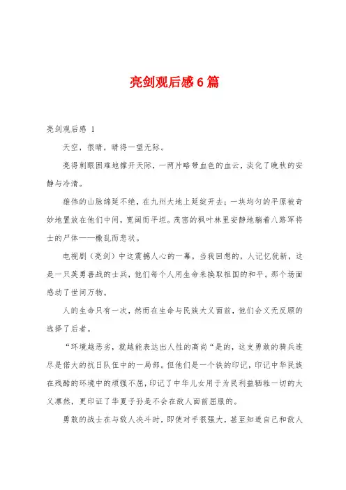 亮剑观后感6篇