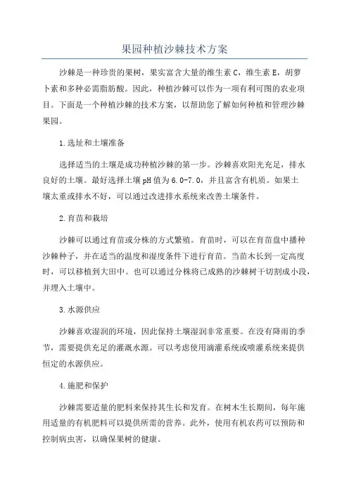 果园种植沙棘技术方案