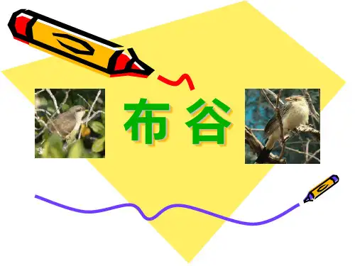 《布谷》PPT课件