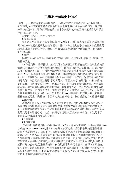 玉米高产栽培制种技术