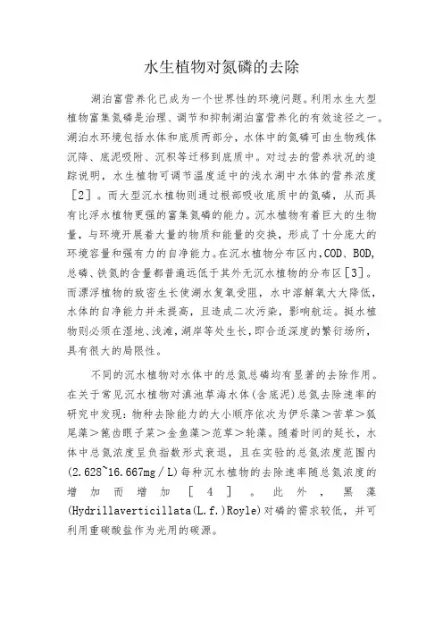 水生植物对氮磷的去除