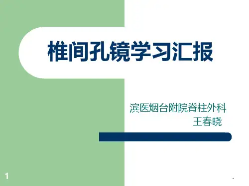 椎间孔镜学习汇报PPT课件