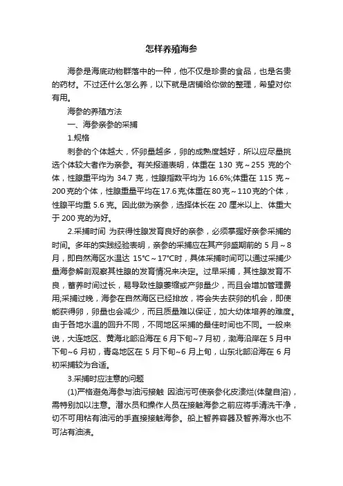 怎样养殖海参