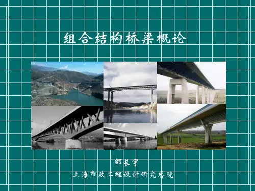 组合结构桥梁概论
