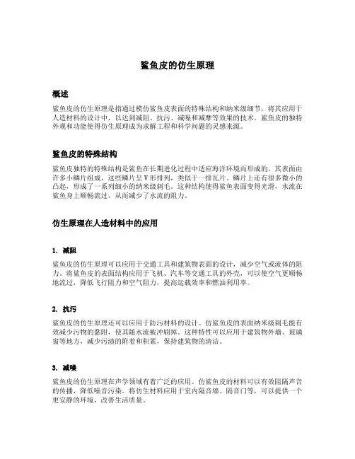 鲨鱼皮的仿生原理