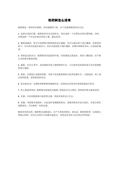 枇杷树怎么培育