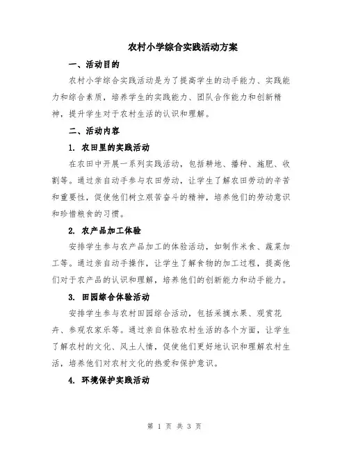 农村小学综合实践活动方案