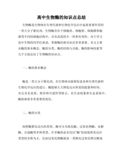 高中生物酶的知识点总结