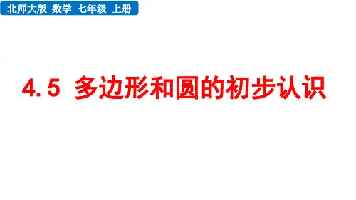 北师大版七年级数学上册第四章 基本平面图形 多边形和圆的初步认识
