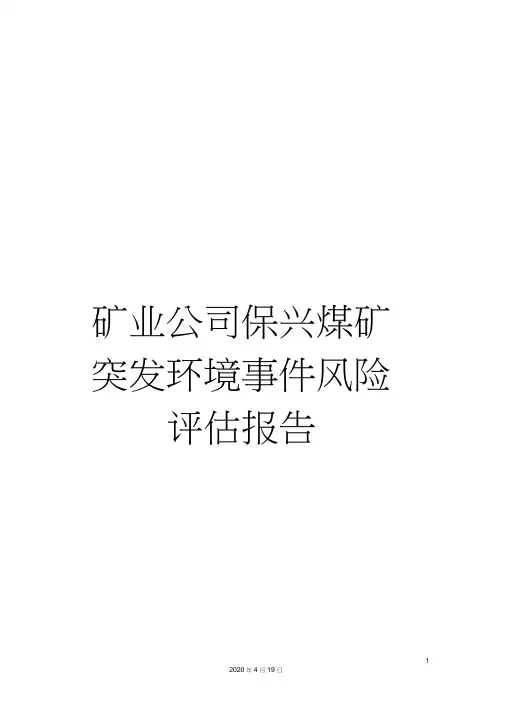 矿业公司保兴煤矿突发环境事件风险评估报告
