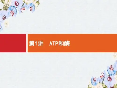 2019高三生物(苏教版)一轮课件：3.1 ATP和酶