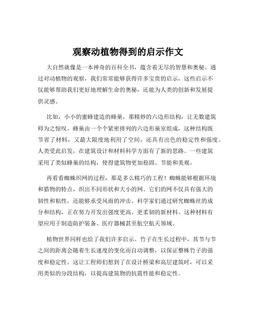 观察动植物得到的启示作文