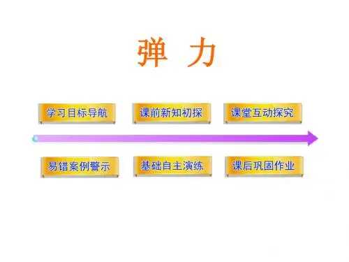 弹力
