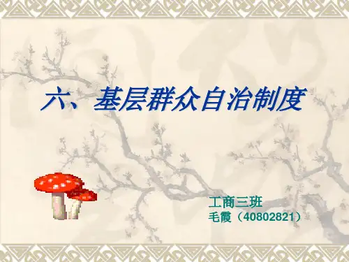 基层群众自治制度.ppt