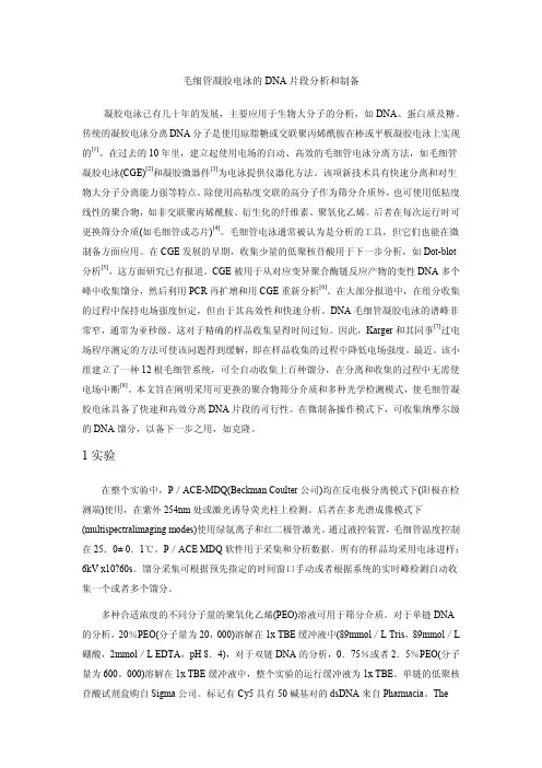 毛细管凝胶电泳的DNA片段分析和制备