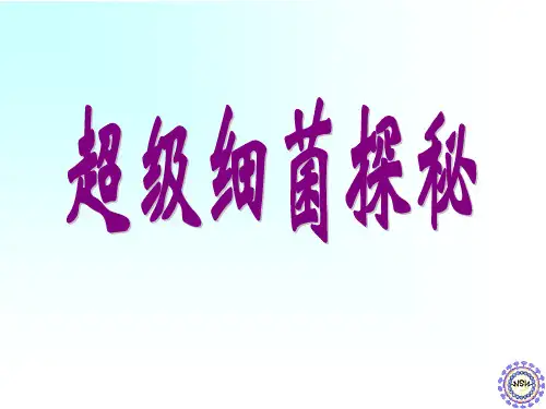 超级细菌