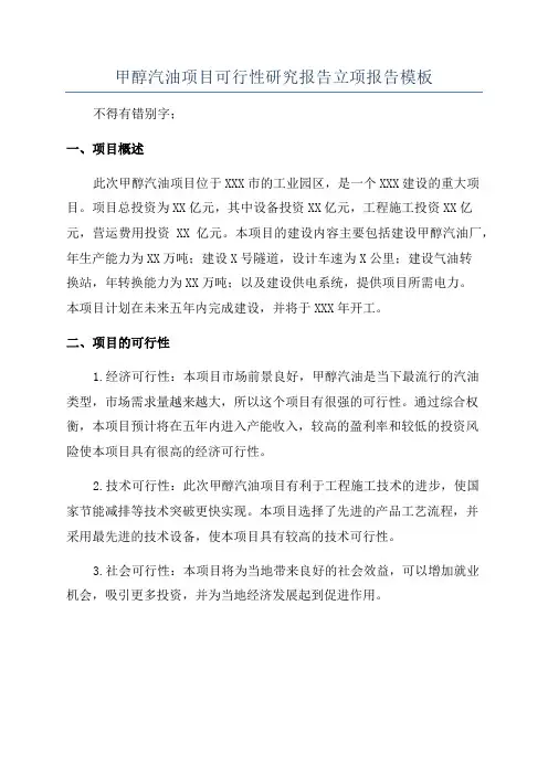 甲醇汽油项目可行性研究报告立项报告模板