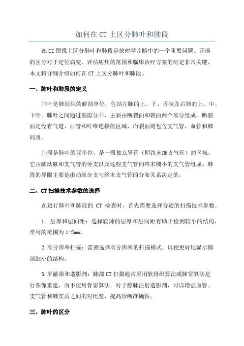 如何在CT上区分肺叶和肺段