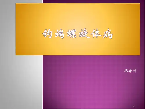 钩端螺旋体病