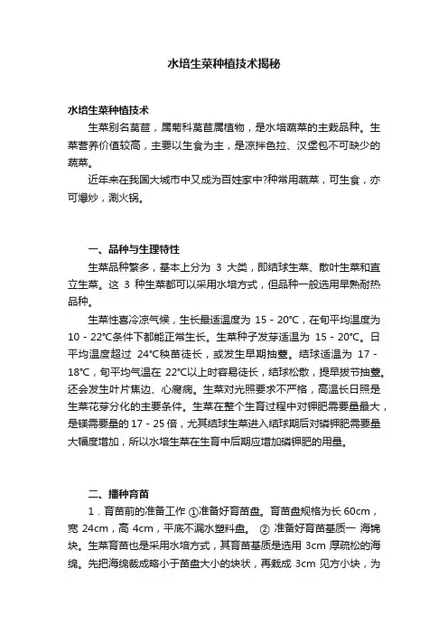 水培生菜种植技术揭秘