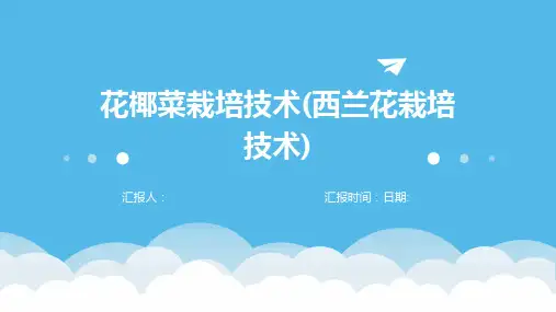 花椰菜栽培技术(西兰花栽培技术)