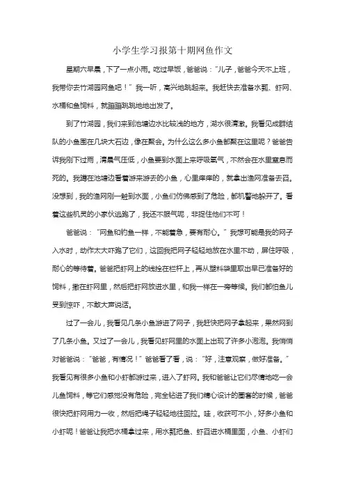 小学生学习报第十期网鱼作文