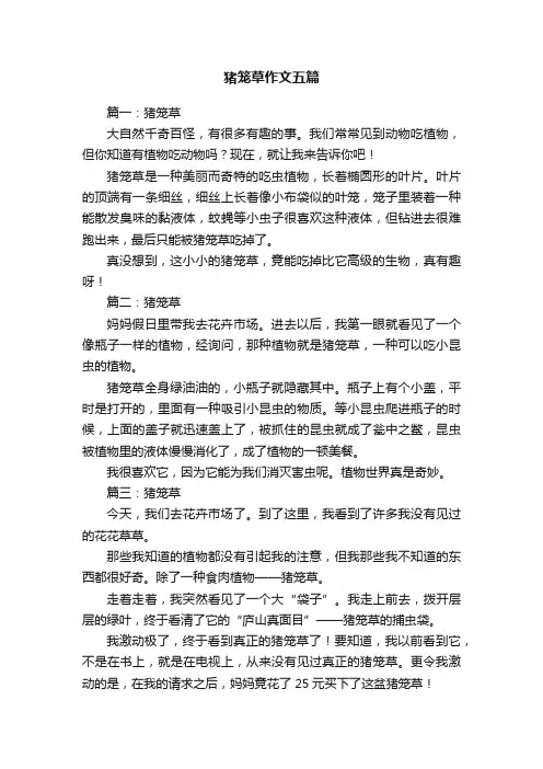 猪笼草作文五篇