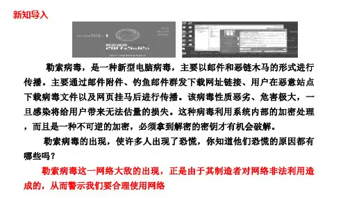 道德与法治八年级上册 2.2 合理利用网络 课件(24张)