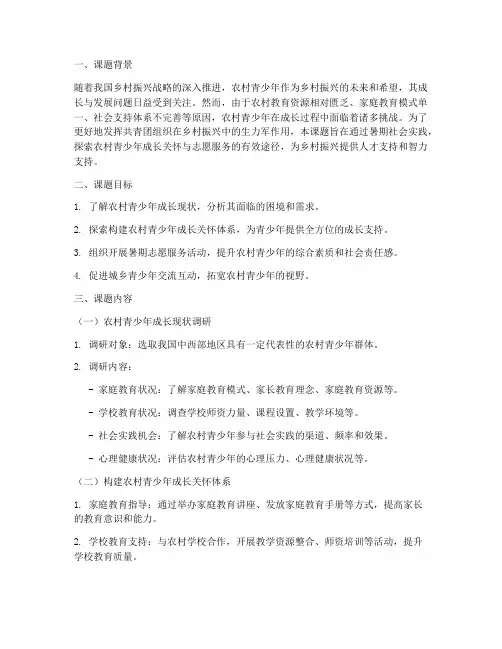 团中央暑期社会实践课题