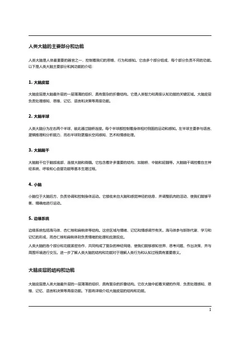 人类大脑的结构和功能