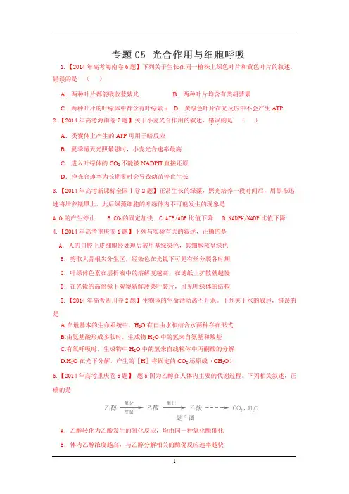 2014年高考生物试题分类汇编解析：05 光合作用与呼吸作用