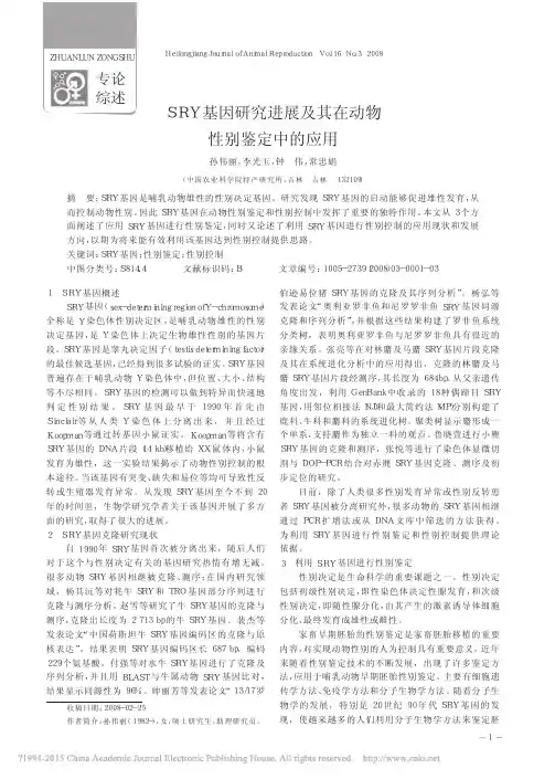 SRY基因研究进展及其在动物性别鉴定中的应用_孙伟丽
