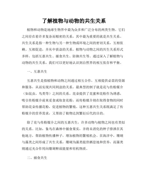 了解植物与动物的共生关系