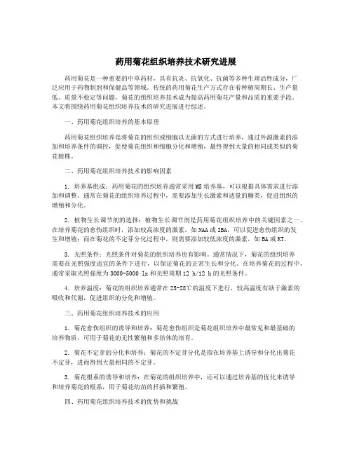 药用菊花组织培养技术研究进展