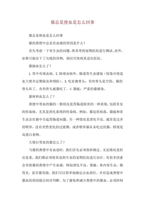 猫总是便血是怎么回事
