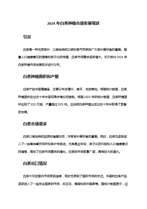 2024年白茶种植市场发展现状