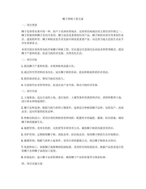 椰子种植工程方案