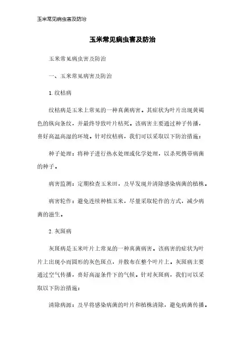玉米常见病虫害及防治