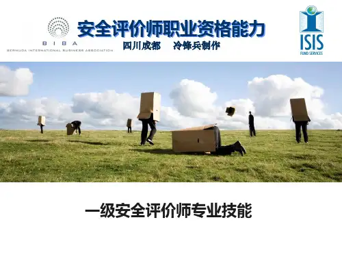 一级安全评价师专业知识