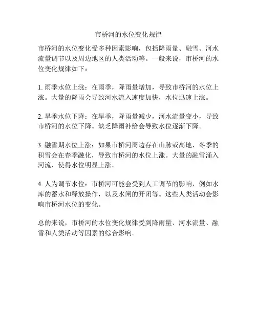 市桥河的水位变化规律