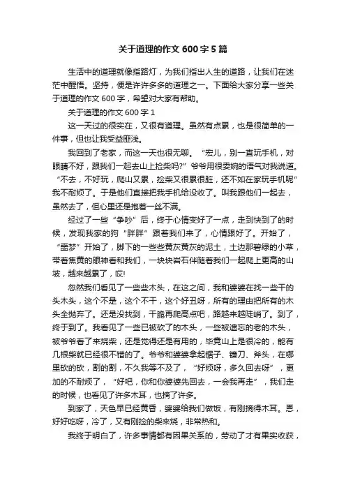 关于道理的作文600字5篇